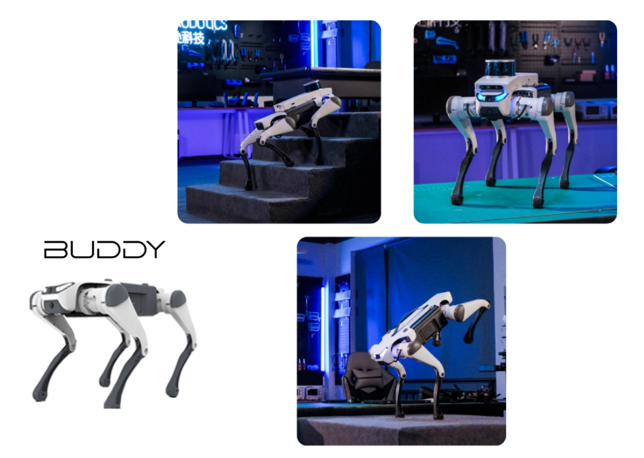 Buddy da Xyron Robotics