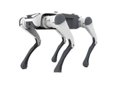Buddy em aplicação Xyron Robotics